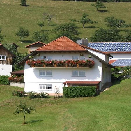 Ferienwohnung Burgblick Зеелбах Екстериор снимка