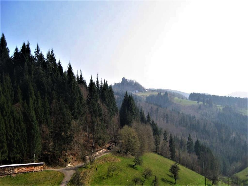 Ferienwohnung Burgblick Зеелбах Екстериор снимка